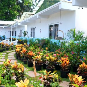 5 Reasons Why You Should Choose White Flower Morjim Resort