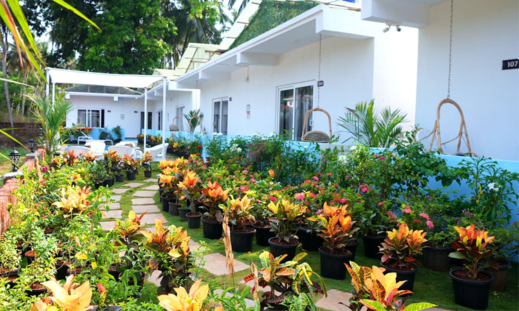 5 Reasons Why You Should Choose White Flower Morjim Resort