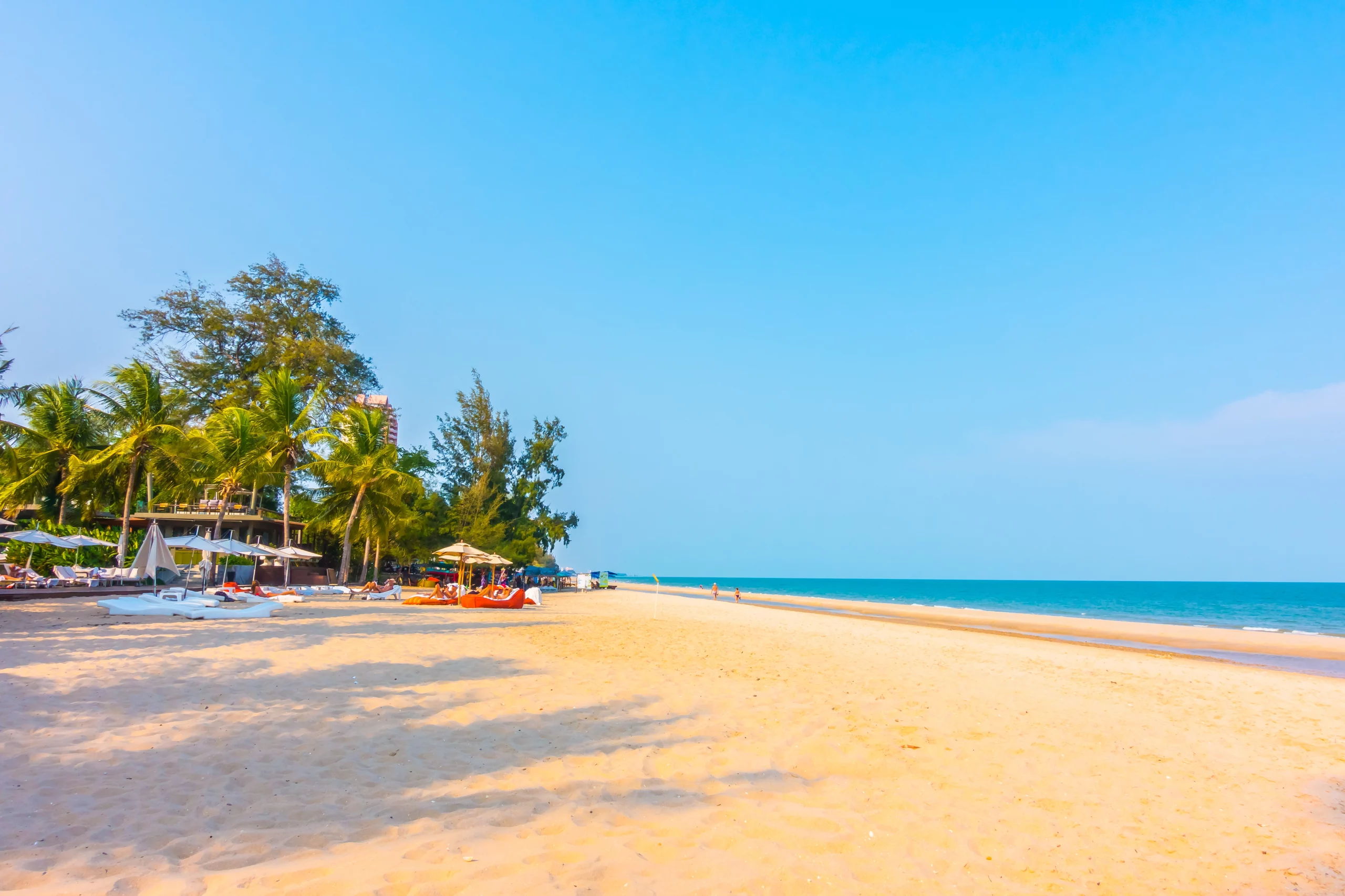 Reasons to Visit Goa in Winters